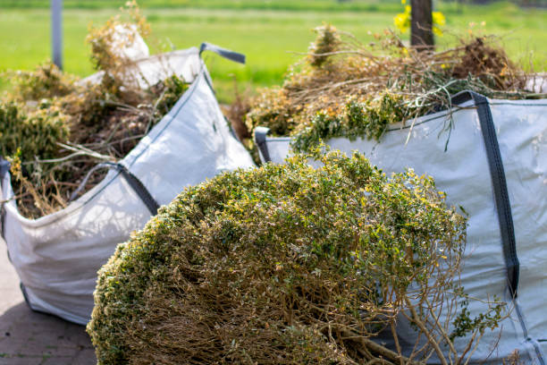 Best Commercial Cleanout Services  in Ortonville, MN
