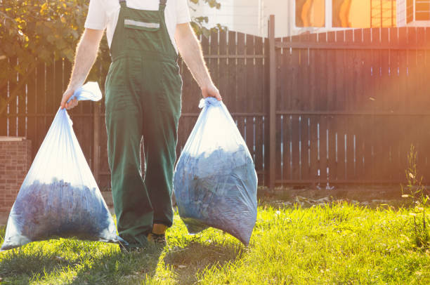 Best Furniture Removal Near Me  in Ortonville, MN