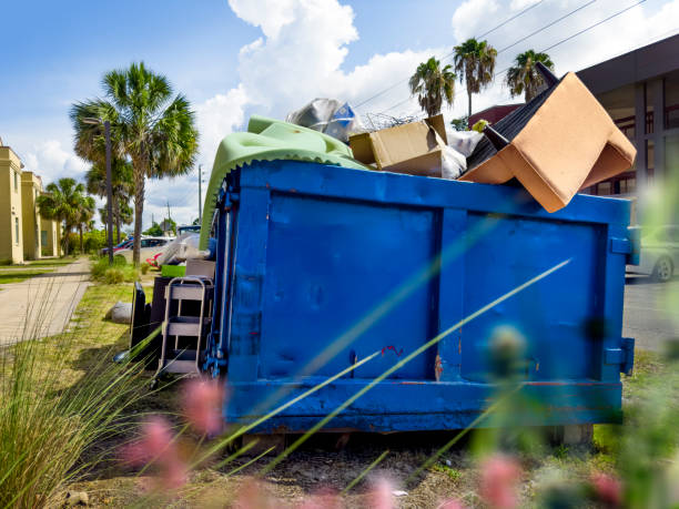 Best Dumpster Rental Services  in Ortonville, MN